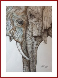 Mother and Child Elephants