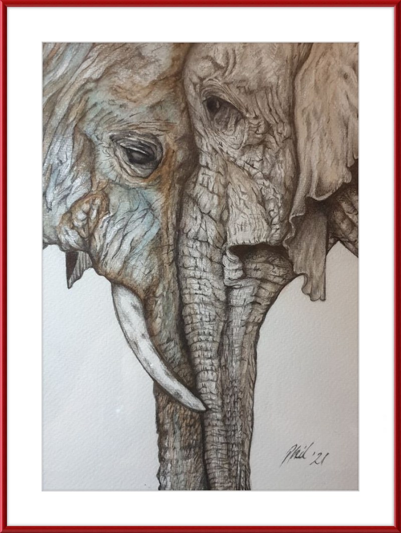 Mother and Child Elephants