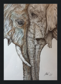 Mother and Child Elephants