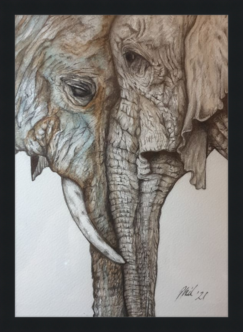 Mother and Child Elephants