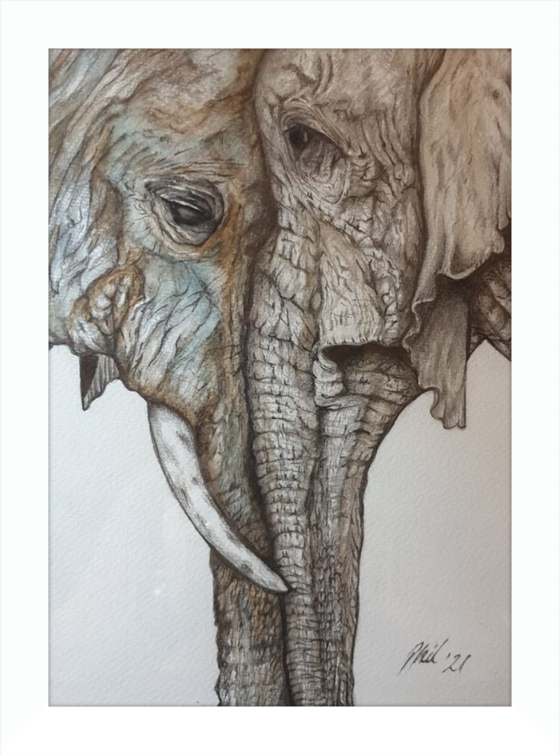 Mother and Child Elephants