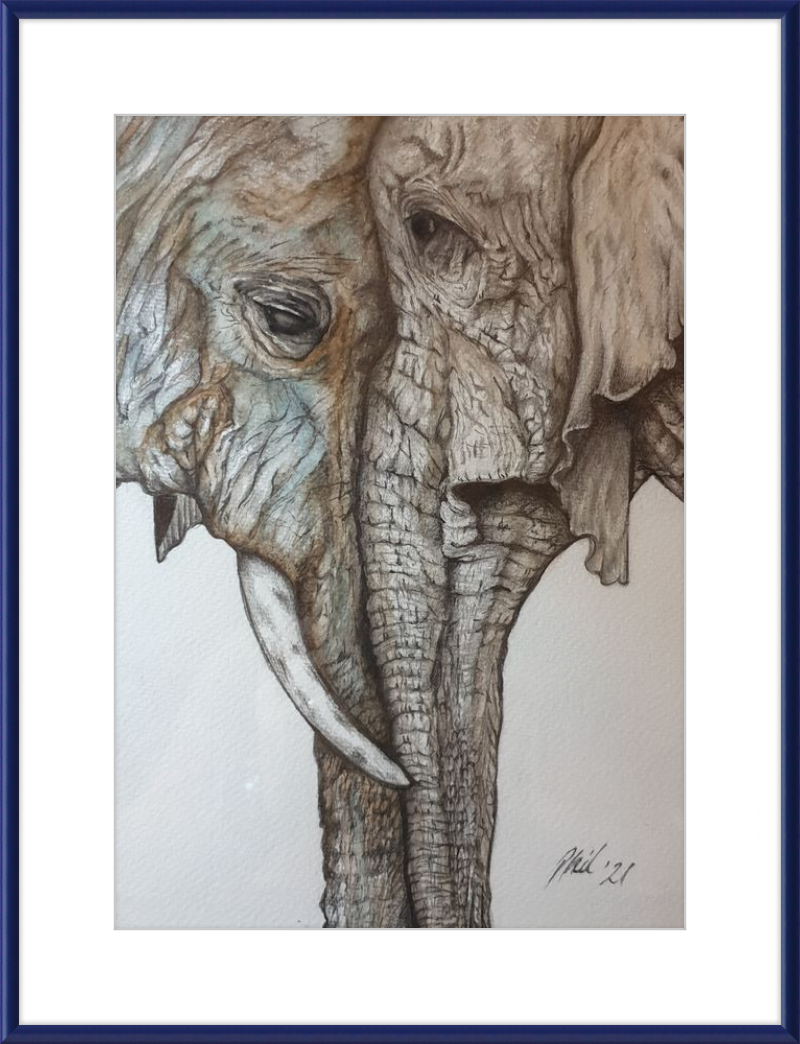 Mother and Child Elephants