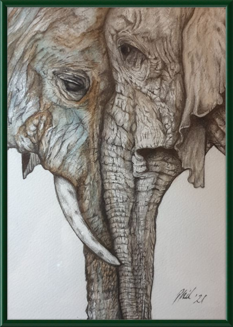 Mother and Child Elephants