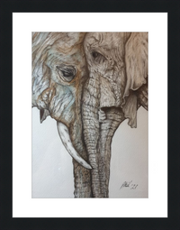 Mother and Child Elephants