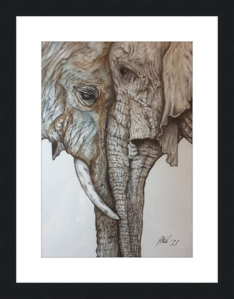 Mother and Child Elephants