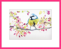 Blue Tit in Blossom