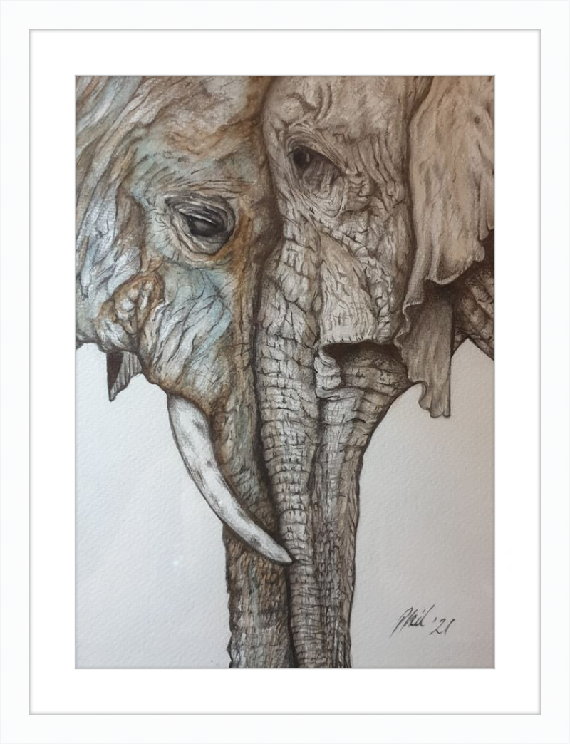 Mother and Child Elephants