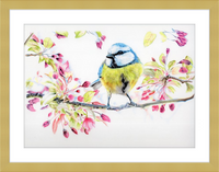 Blue Tit in Blossom