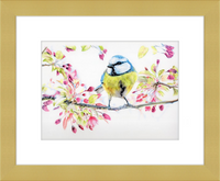 Blue Tit in Blossom