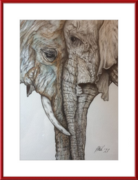 Mother and Child Elephants