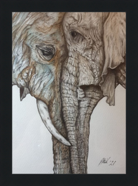 Mother and Child Elephants