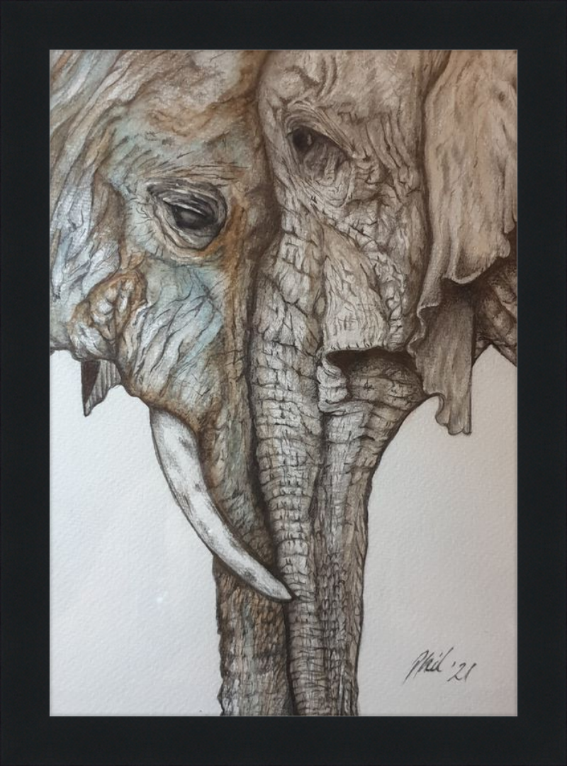 Mother and Child Elephants