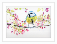 Blue Tit in Blossom