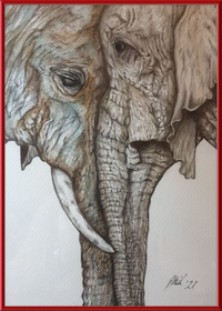 Mother and Child Elephants