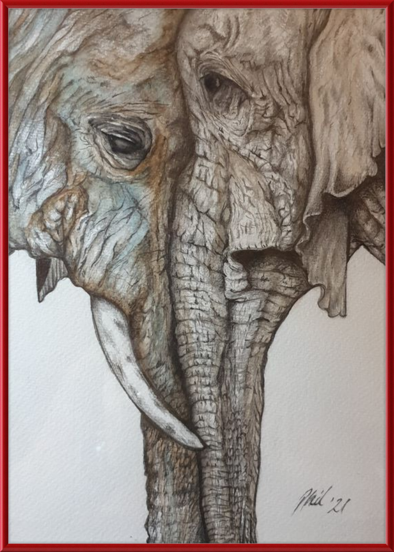 Mother and Child Elephants