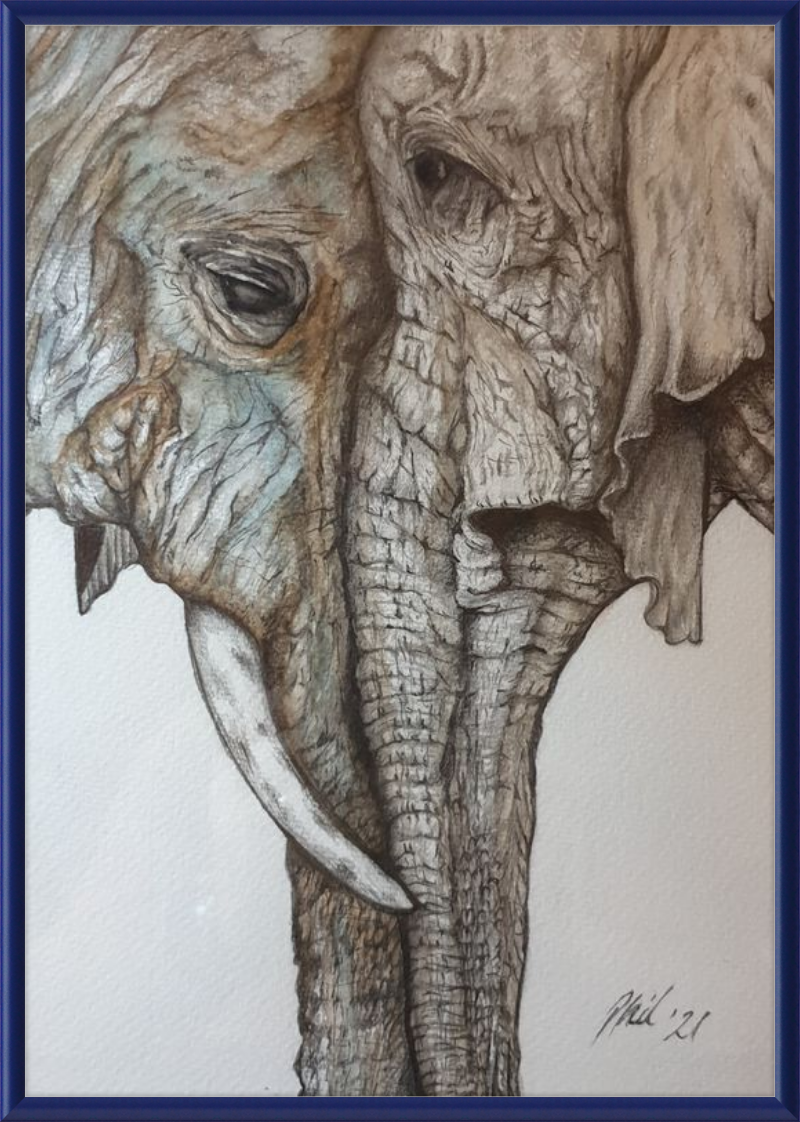 Mother and Child Elephants