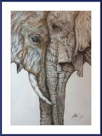 Mother and Child Elephants