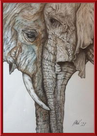 Mother and Child Elephants