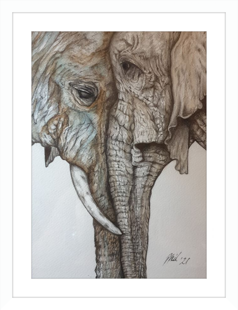 Mother and Child Elephants