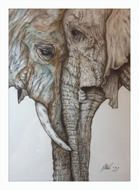 Mother and Child Elephants