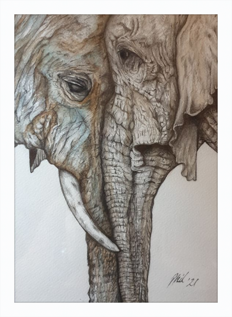 Mother and Child Elephants