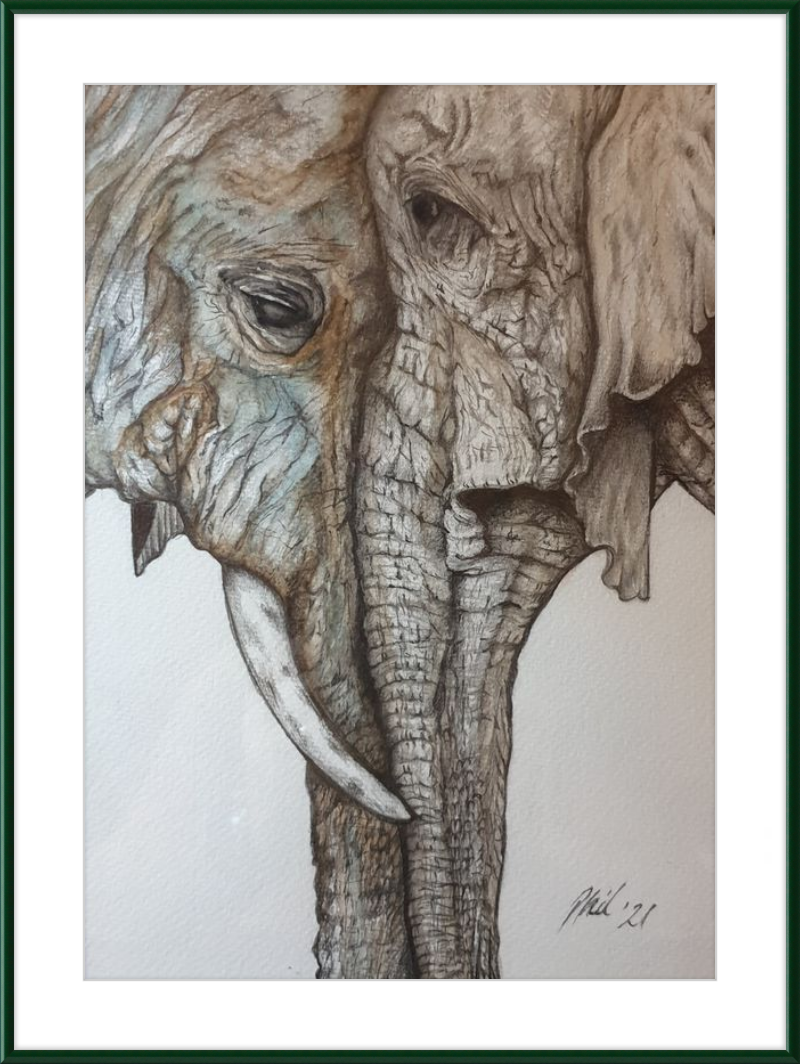 Mother and Child Elephants