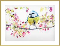Blue Tit in Blossom