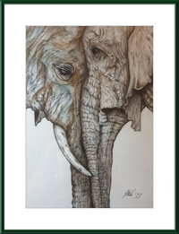 Mother and Child Elephants