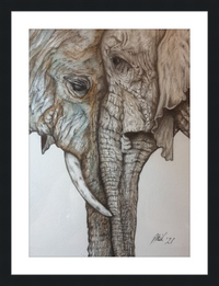 Mother and Child Elephants