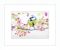 Blue Tit in Blossom