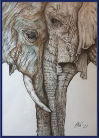 Mother and Child Elephants