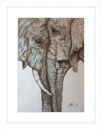 Mother and Child Elephants