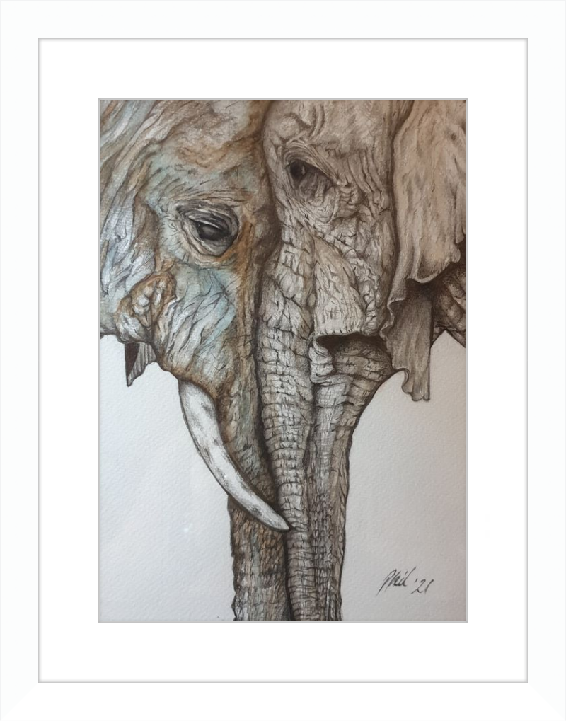 Mother and Child Elephants