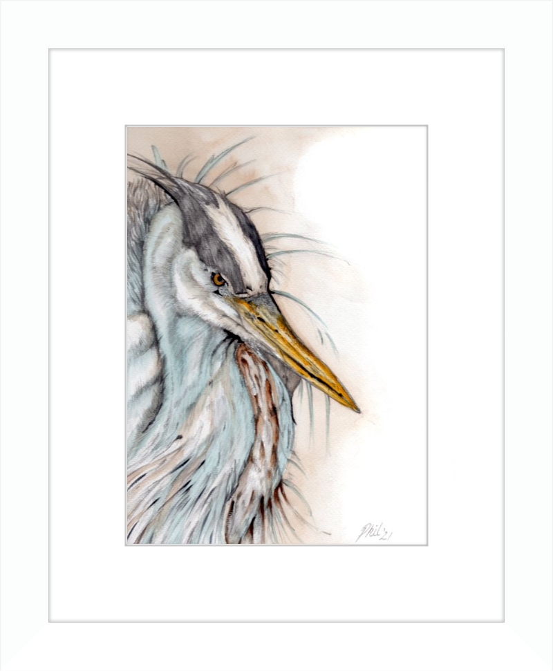 Heron