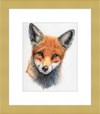Michael the Red Fox