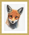 Michael the Red Fox