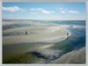 Tidepools of Little Tybee