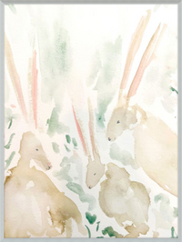 Rabbits