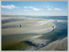 Tidepools of Little Tybee