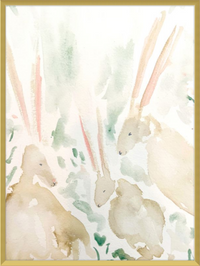 Rabbits