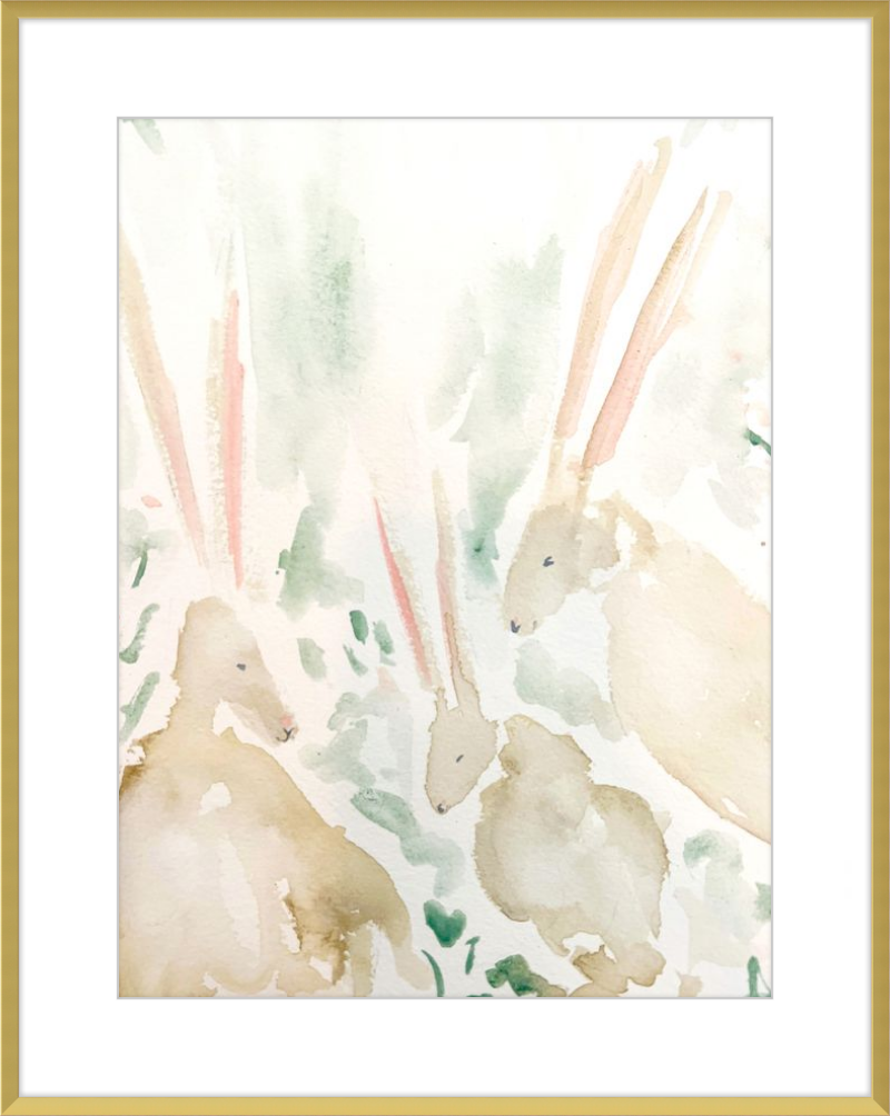 Rabbits