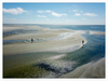 Tidepools of Little Tybee