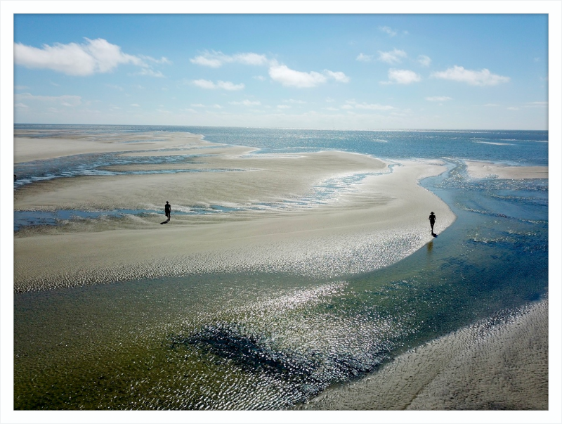 Tidepools of Little Tybee