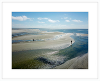 Tidepools of Little Tybee