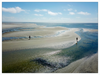 Tidepools of Little Tybee