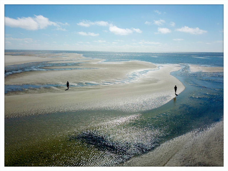 Tidepools of Little Tybee