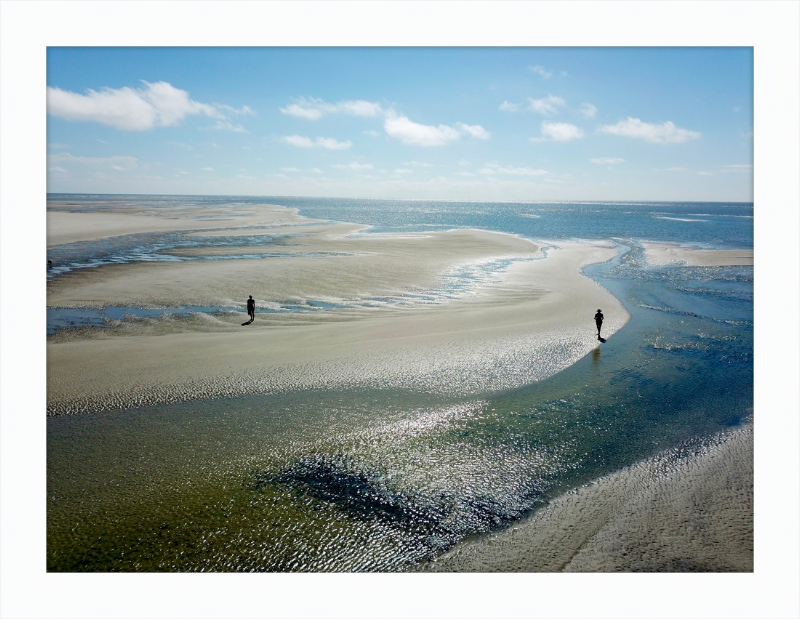 Tidepools of Little Tybee