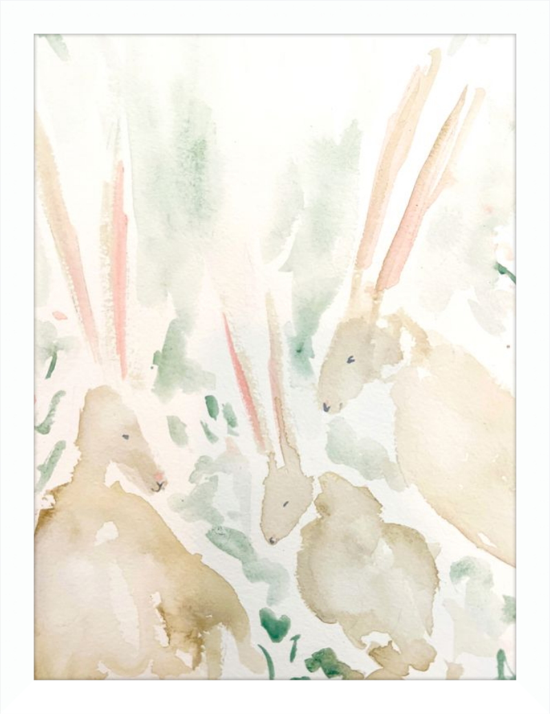 Rabbits