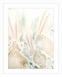 Rabbits