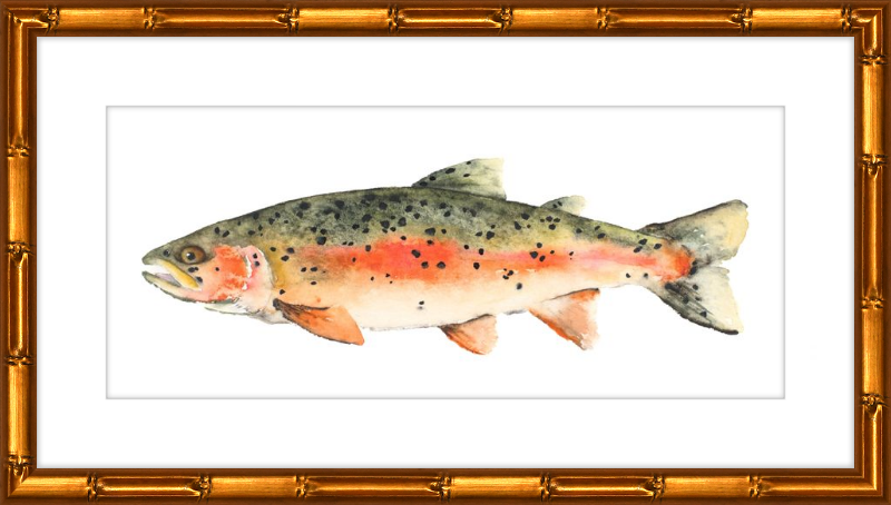 Brook the Trout